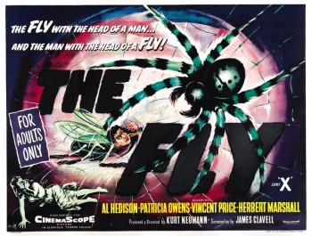 the fly.jpg