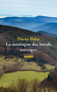 172_Montagneboeufs.gif