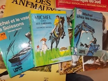 des Michel  mais pas Vaillant