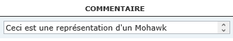 Commentaire.png