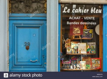 france-meurthe-et-moselle-nancy-bookshop-le-cahier-bleu-in-soeurs-macarons-street-WE6XT6.jpg