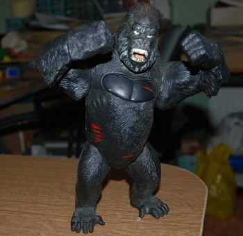 DSC_0116.jpg