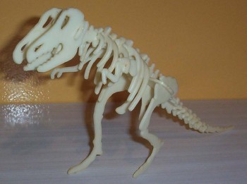 000_1902.jpg