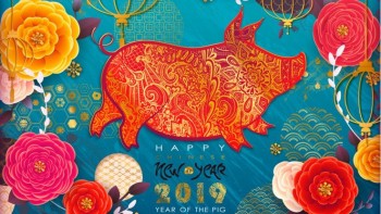 2019-l-annee-du-cochon-de-terre.jpeg