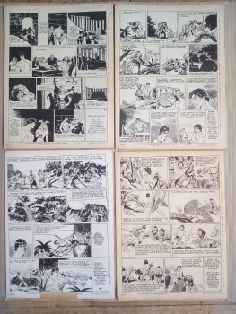 tarzan(dos 2e serie).jpg