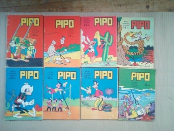 pipo (1).jpg