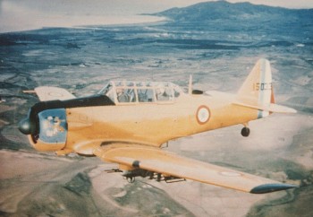 marsu2.jpg