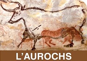 aurochs-de-lascaux.jpg