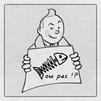 NitNit_01avril2025_oupas.jpg