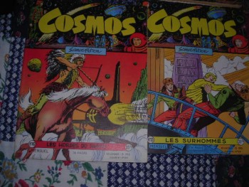 nouveau cosmos014.JPG