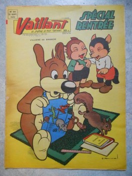 VAILLANT 12 002.jpg