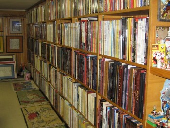 une vue de ma bibliotheque