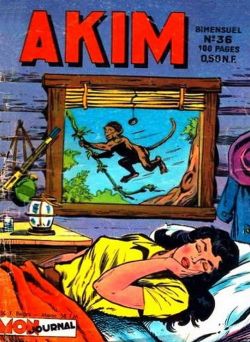 Akim1.036a.jpg