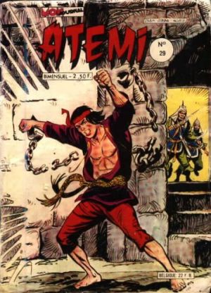 Atemi029.jpg
