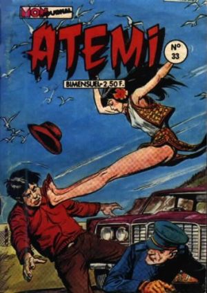 Atemi033.jpg