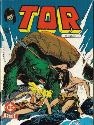 Tor6.jpg