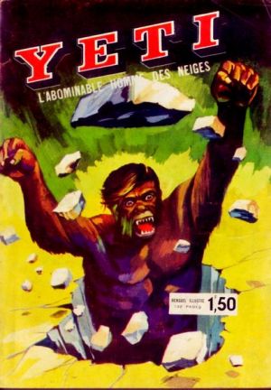 Yeti5.jpg